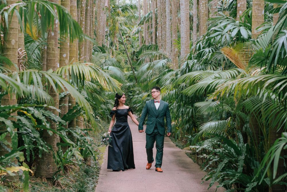 東南植物楽園の背の高い大木の間を散策している二人